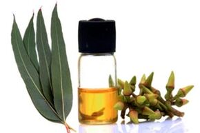 Aceite de eucalipto para o tratamento da onicomicosis