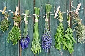 herbas para tratar o fungo das unhas dos pés